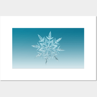 Snowflake Posters and Art